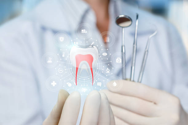 Emergency Dental Services in Shorewood Forest, IN