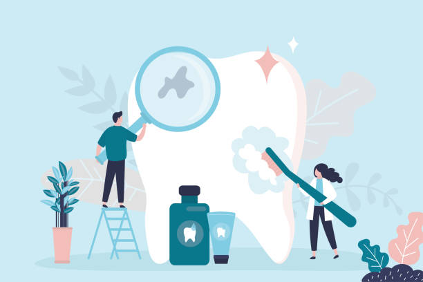 Shorewood Forest, IN Holistic Dental Care Services Company